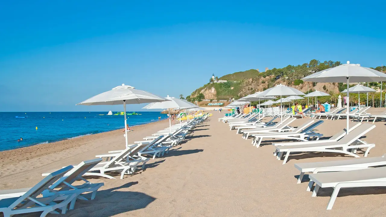 Kaktus Playa