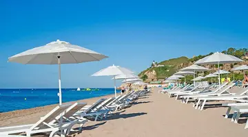 Kaktus Playa