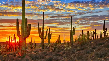 Kalifornia i Arizona - Wild Wild West