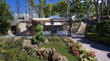 Kamelya Aishen Club