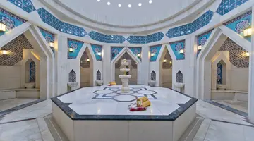 KAMELYA AISHEN CLUB