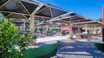 KAMELYA AISHEN CLUB
