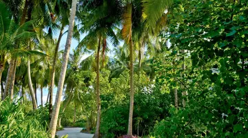 Kandima Maldives
