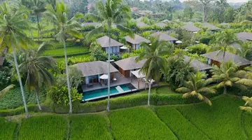 Kappa Senses Ubud