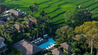 Kappa Senses Ubud