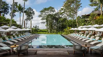 Kappa Senses Ubud