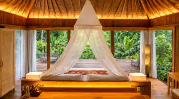 Kappa Senses Zanzibar 