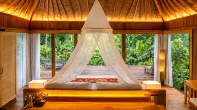 Kappa Senses Zanzibar 
