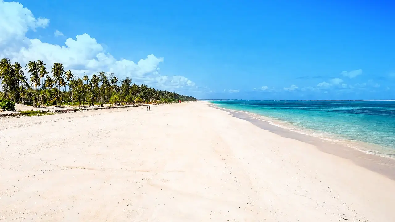 Kappa Senses Zanzibar