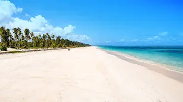Kappa Senses Zanzibar