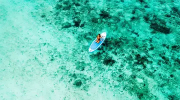 Kappa Senses Zanzibar