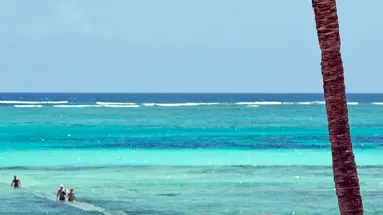 Karafuu Beach Resort & Spa
