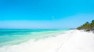 Karafuu Beach Resort & Spa