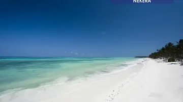 Karafuu Beach Resort & Spa
