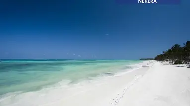 Karafuu Beach Resort & Spa