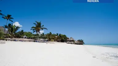Karafuu Beach Resort & Spa