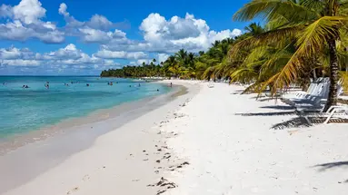 Karaibska ślicznotka