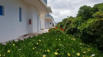 KASAPAKIS