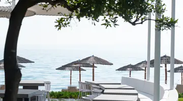 KASSANDRA PALACE