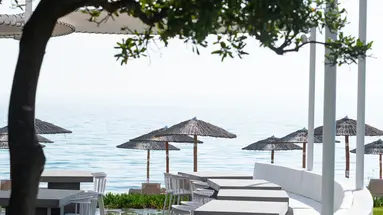 KASSANDRA PALACE