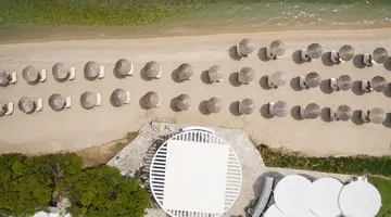 KASSANDRA PALACE