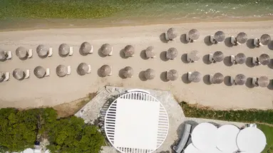KASSANDRA PALACE