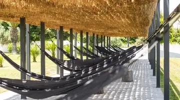 KASSANDRA PALACE