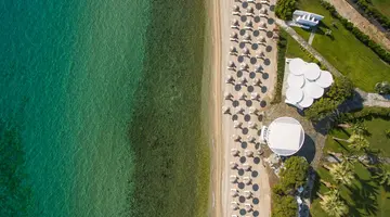KASSANDRA PALACE