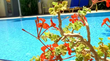 KASSAVETIS CENTER - HOTEL STUDIOS & APARTMENTS