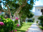 Katrin Hotel and Bungalows