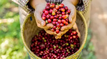 Kawowy Aromat Kostaryki