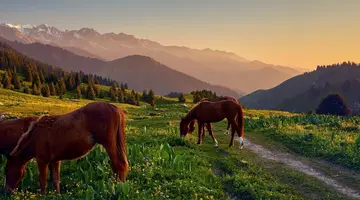 Kazachstan- Kraina Magii i Gór