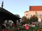 KAZIMIERZ DOLNY - 1 dzień