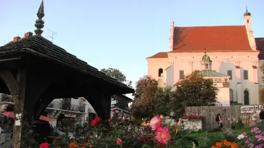 KAZIMIERZ DOLNY - 1 dzień