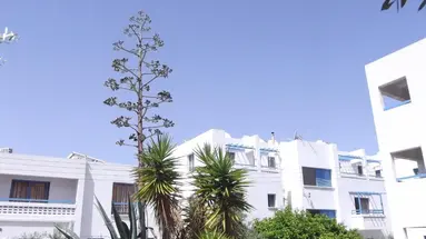 KEFALONITIS HOTEL APARTMENTS