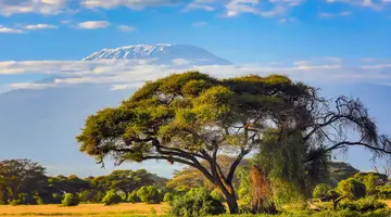Kenia Classic De Luxe