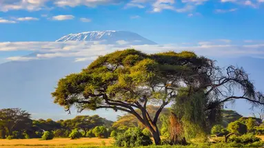 Kenia Classic De Luxe