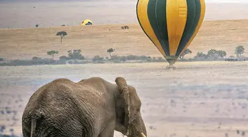Kenia Classic De Luxe