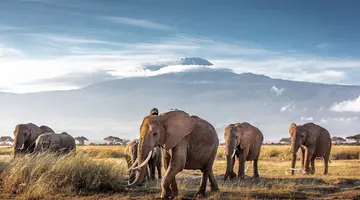 Kenia Classic De Luxe