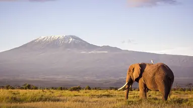 Kenia Classic De Luxe
