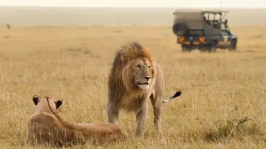 Kenia Classic De Luxe