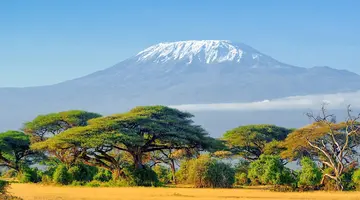 Kenia Classic
