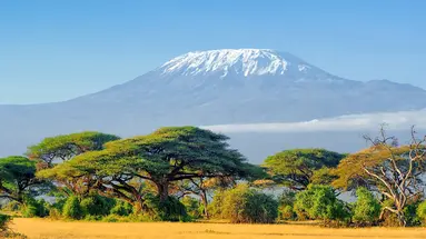 Kenia Classic