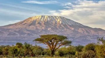Kenia Classic