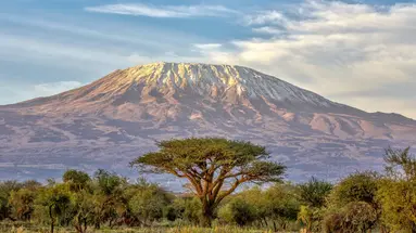 Kenia Classic