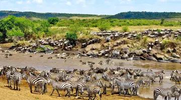 Kenia Classic
