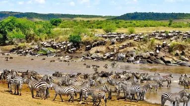 Kenia Classic