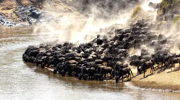 Kenia Classic