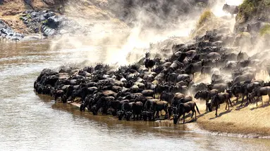 Kenia Classic