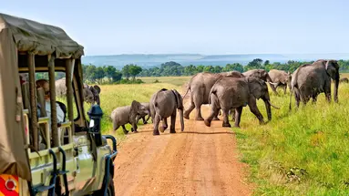 Kenia Classic